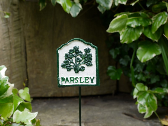 Parsley herb sign