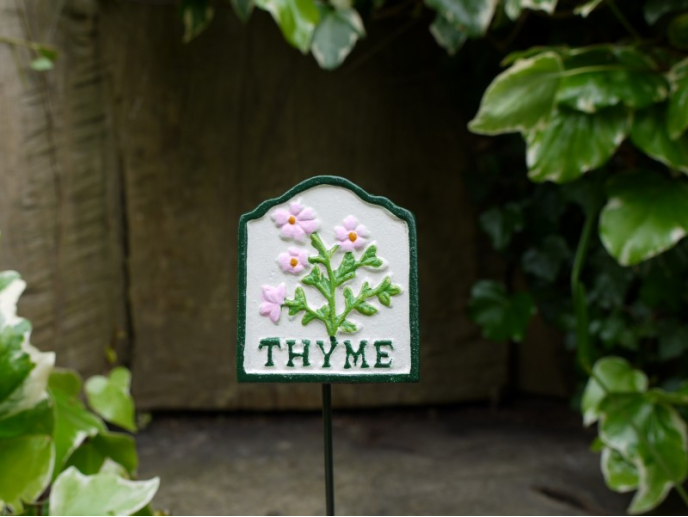 Thyme Herb marker