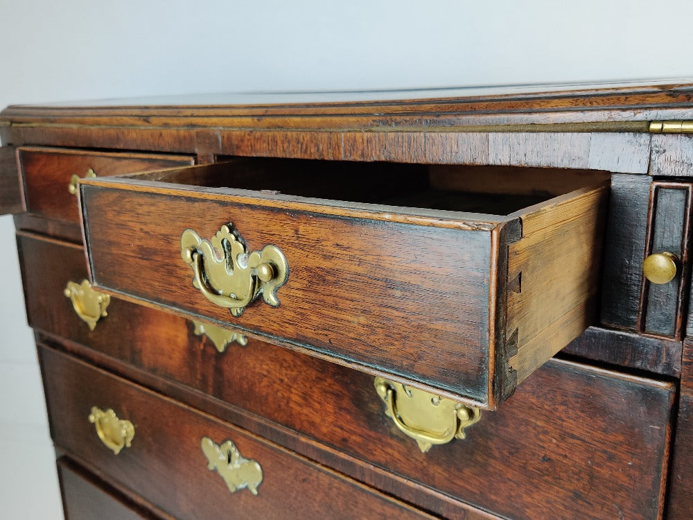 Early English Bachelor Chest of Drawers - George I