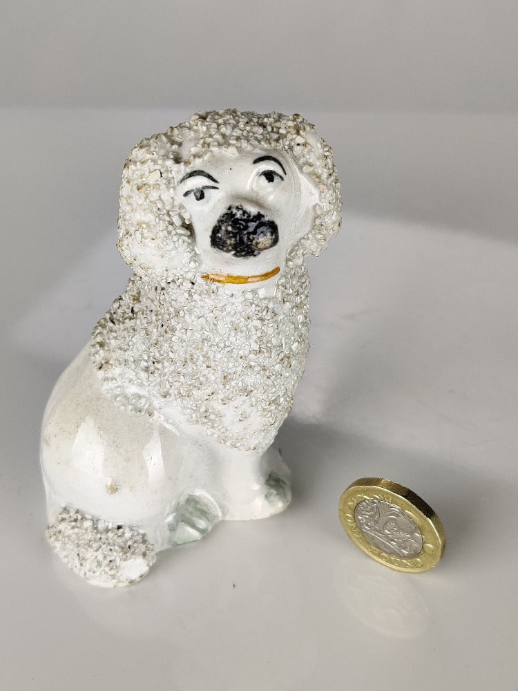Miniature Poodle Staffordshire Dog