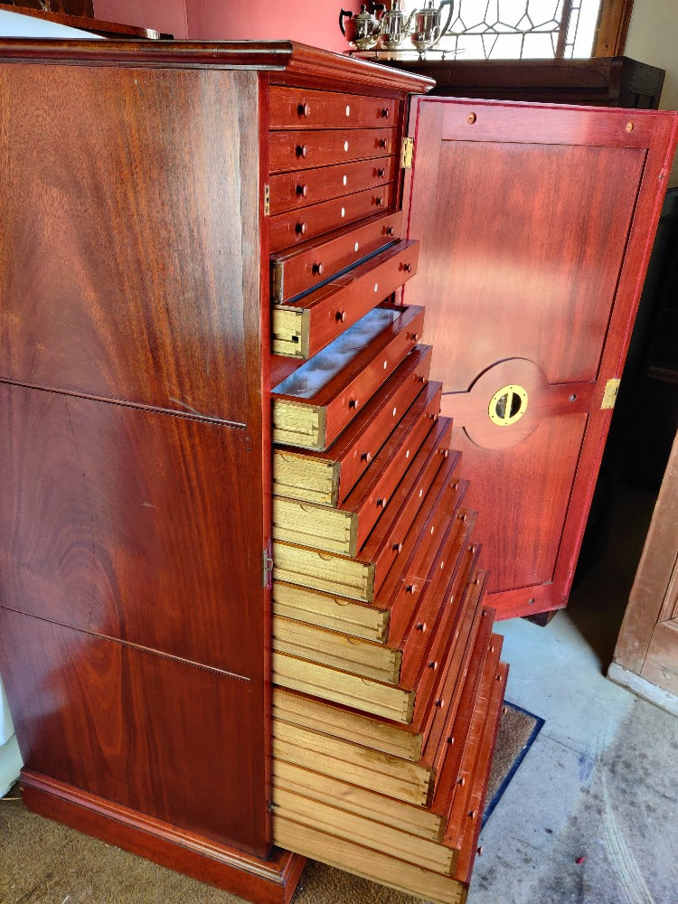 antique specimen collectors cabinet