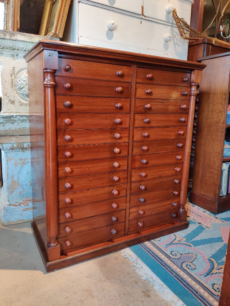 Wellington chest specimen cabinet