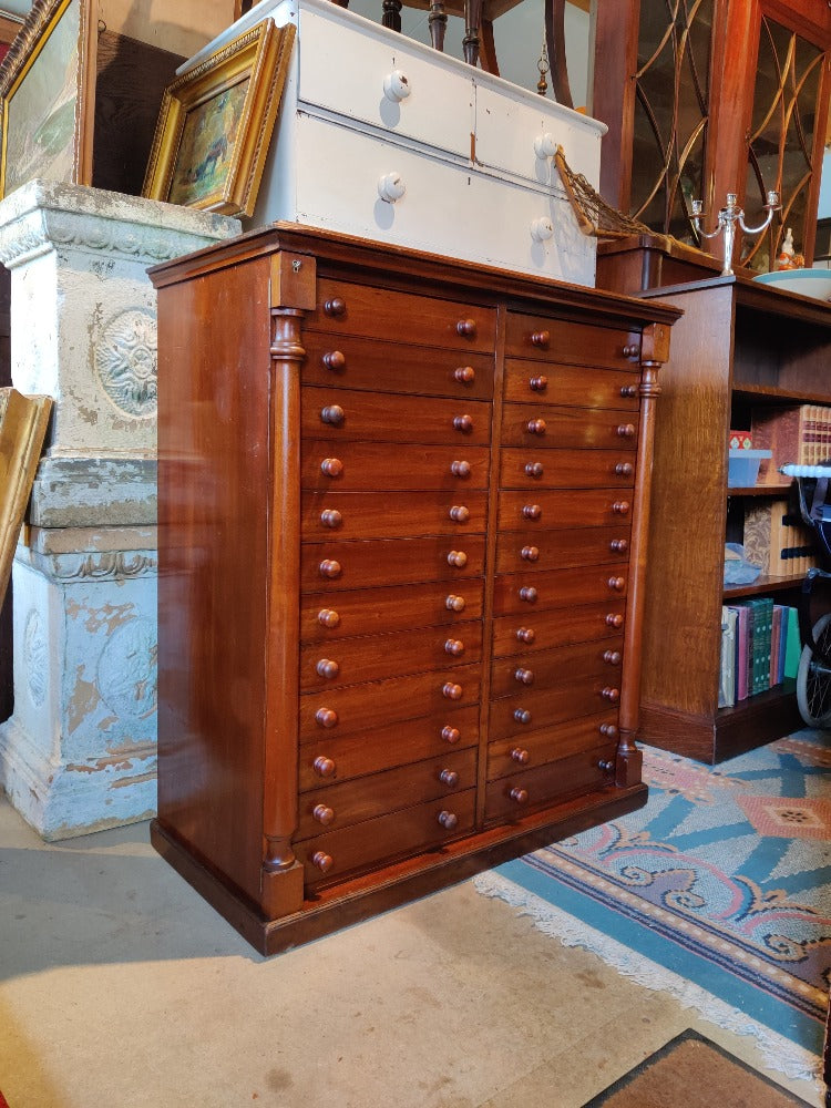 antique specimen cabinet