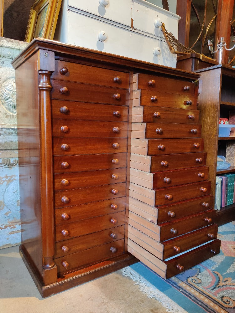 Wellington chest collectors cabinet