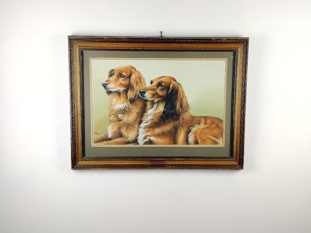 Dachshunds