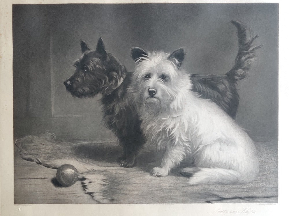 Cairn & West Highland Terrier - Engraving